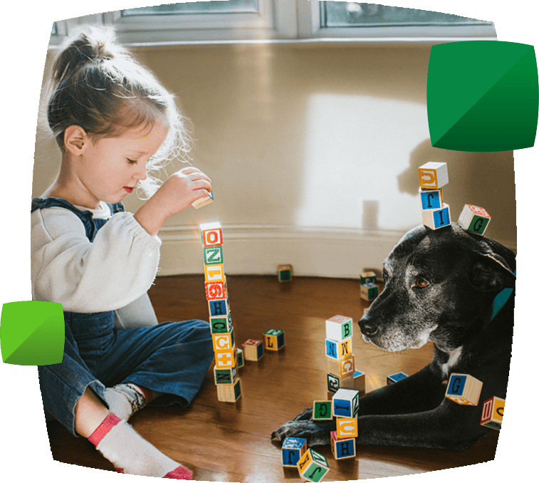 Child and dog with building blocks