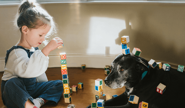 Girl and dog playing with blocks